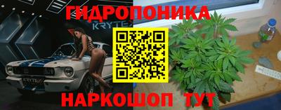 гашик Будённовск