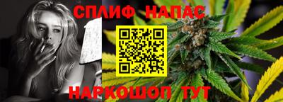 гашик Будённовск