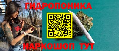 прущие грибы Каменск-Шахтинский
