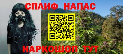 гашик Будённовск