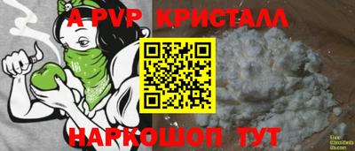 гашик Будённовск