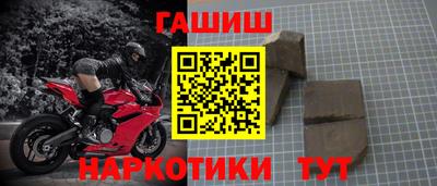 гашик Будённовск
