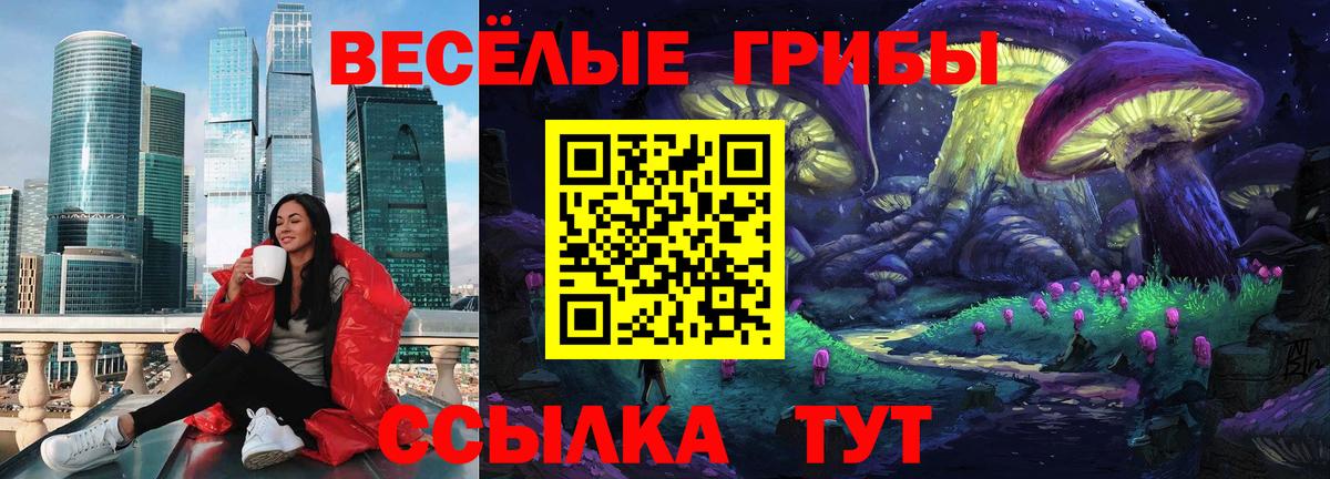 Галлюциногенные грибы Cubensis  Вход с VPN  Псилоцибиновые грибы мицелий  что такое   Магадан 